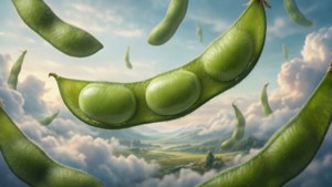Giant Edamame Sky