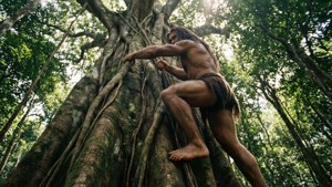 Giant Tree Climber