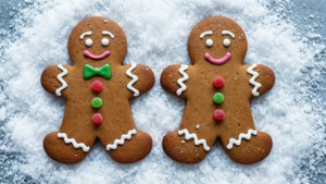 Gingerbread Pals