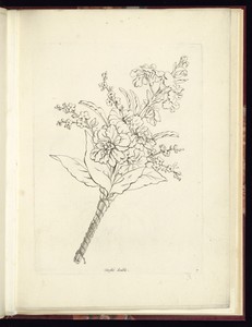 Girostée doublée