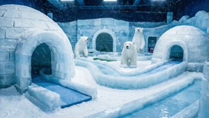 Glacier Ice Course