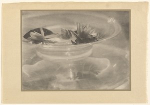 [Glass bowl with water lilies]