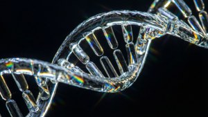 Glass DNA Refraction