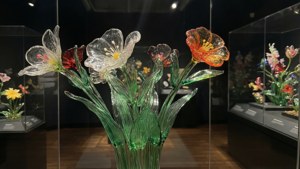 Glass Flowers Exhibit