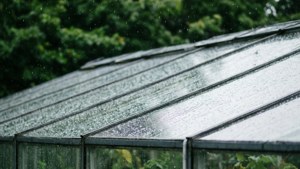 Glass Roof Rain