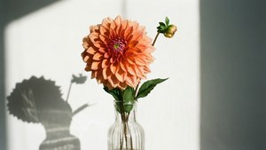 Glass Vase Minimal