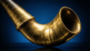 Gleaming Shofar Close-up