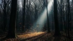 Glimmer of Faith