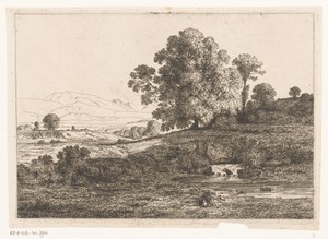 Glooiend landschap met een beek