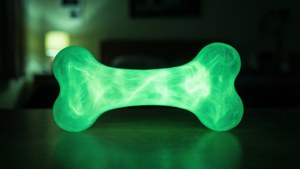Glow Bone Toy