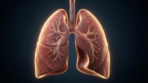 Glowing Lungs 3D Render