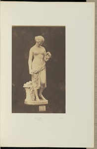 Glycera