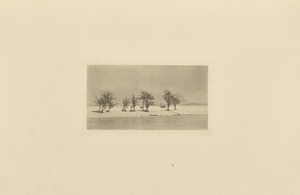 Gnarled Thorn-Trees