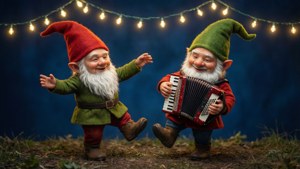 Gnome Night Dance