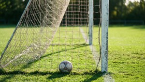 Goal Net Detail
