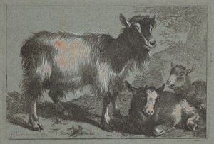 Goat and Two Kids