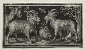 Goats and Hare