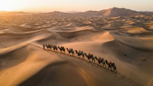 Gobi Desert Dawn