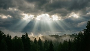God Rays Forest