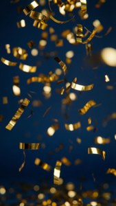 Gold Confetti Navy