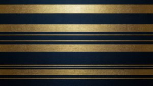 Gold Navy Horizontal Metallic