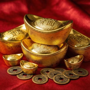 Gold Sycee Wealth