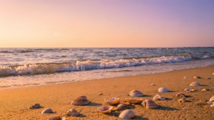 Golden August Beach