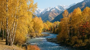 Golden Autumn Tien Shan
