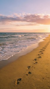 Golden Beach Sunset