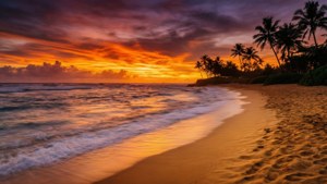 Golden Beach Sunset