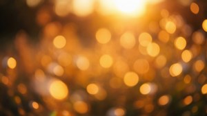 Golden Bokeh Dream