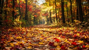 Golden Canopy Trail