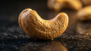Golden Cashew Macro