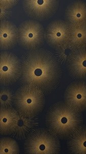 Golden Circles Charcoal