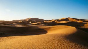 Golden Desert Dunes
