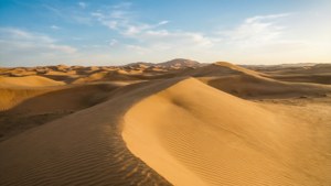 Golden Dune Waves