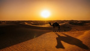Golden Dunes at Dusk