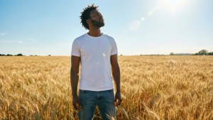 Golden Field Dream