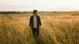 Golden Fields