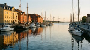 Golden Harbor Serenity