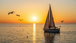 Golden Horizon Sailboat
