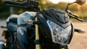 Golden Hour Detail