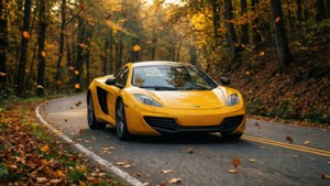 Golden Hour Drive