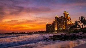 Golden Hour Elegance