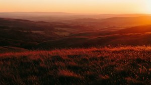 Golden Hour Hills