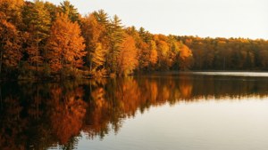 Golden Hour Lake Autumn