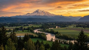 Golden Hour Over Abbotsford