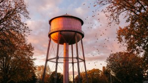 Golden Hour Water Tower