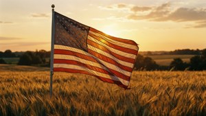 Golden Hour Wheat