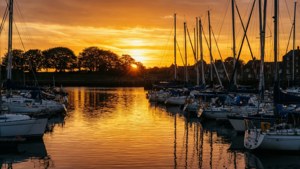 Golden Marina Sunset